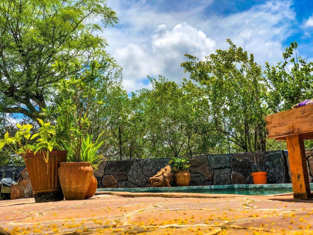 Lesoma Valley Lodge كاسان المظهر الخارجي الصورة
